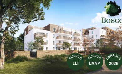 Conseil Immobilier Investir en LLI à Nantes : nouvelle opportunité pour les investisseurs