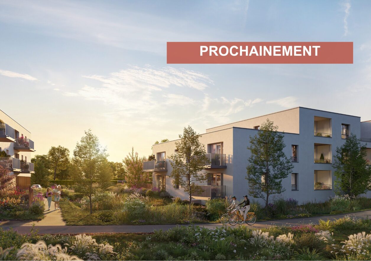 Programme immobilier ÉCORCE