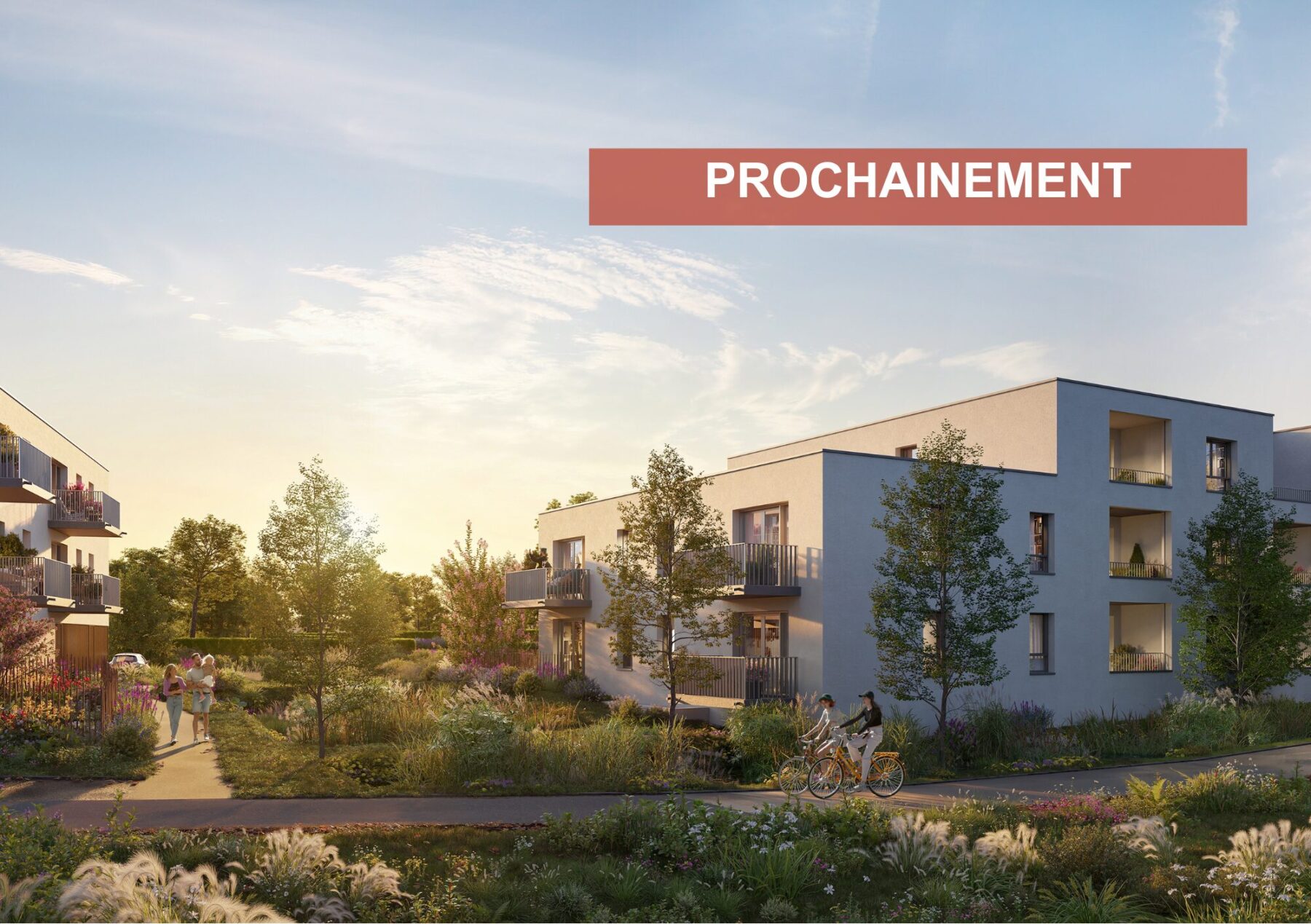 Programme immobilier ÉCORCE