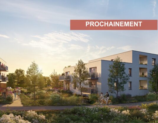Programme immobilier ÉCORCE