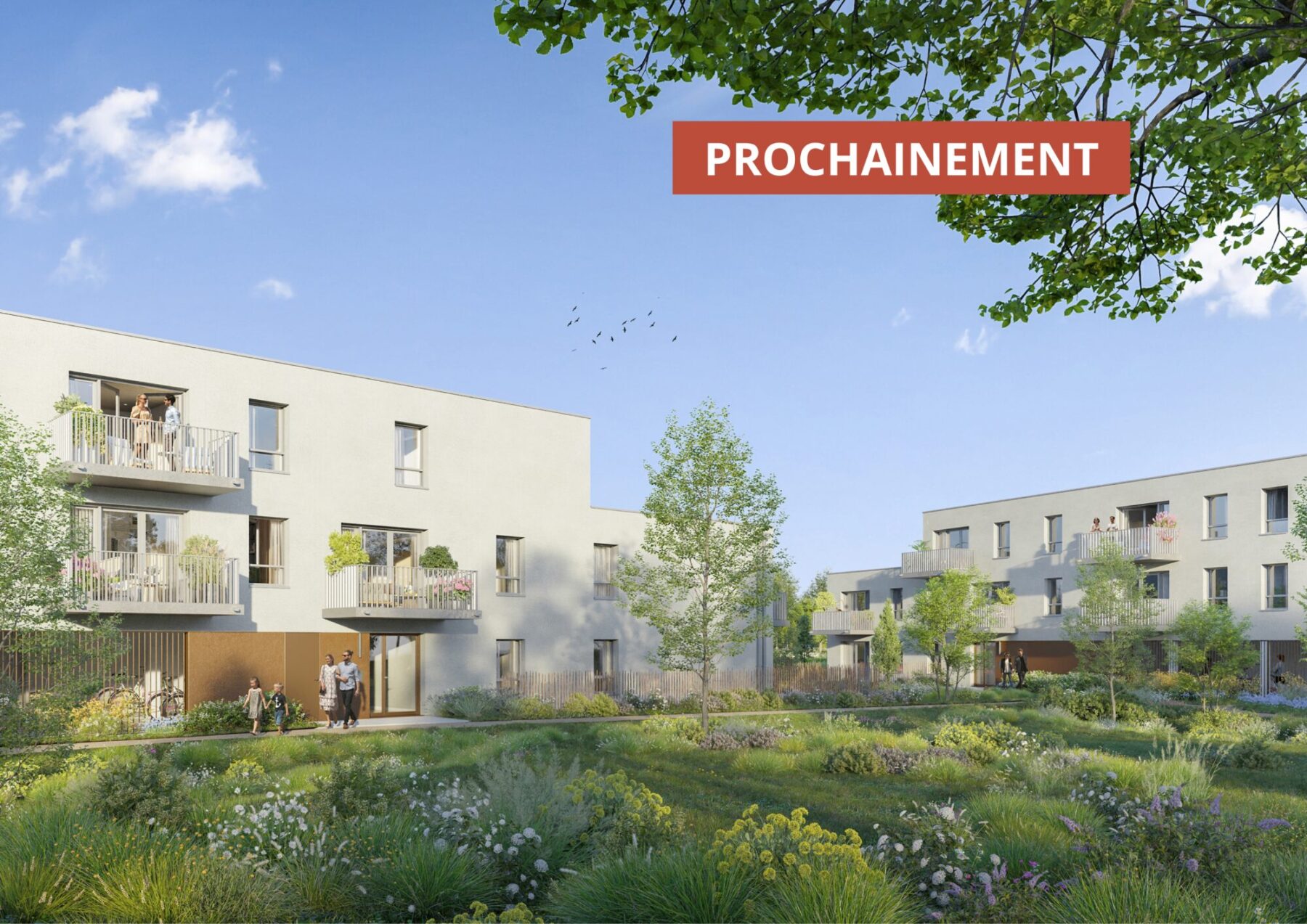 Programme immobilier ÉCORCE