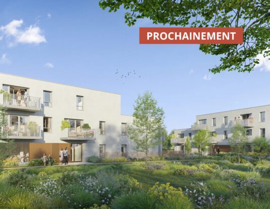 Programme immobilier ÉCORCE